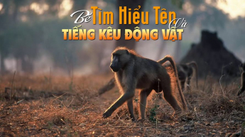 Bé Tìm Hiểu Tên Và Tiếng Kêu Động Vật