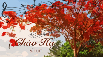 Album Chào Hạ